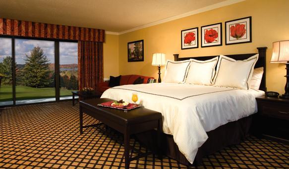 Summit Village Bellaire 部屋 写真